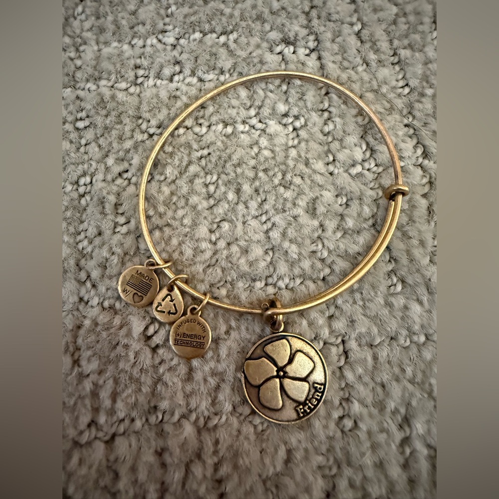 Alex And Ani 2013 Friends Charm Bracelet